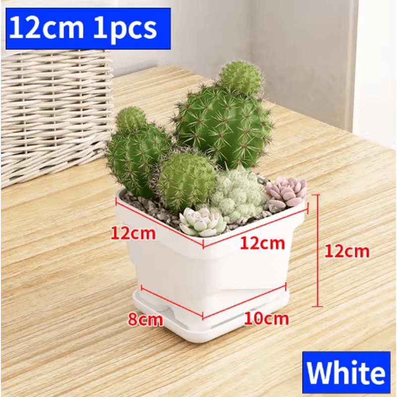 Square Ventilated Plastic Flower Pot Succulent Planter With Thick Drainage Tray 10