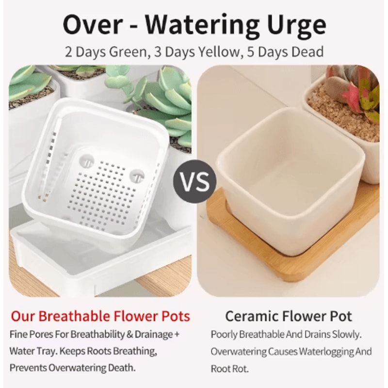 Square Ventilated Plastic Flower Pot Succulent Planter With Thick Drainage Tray 11