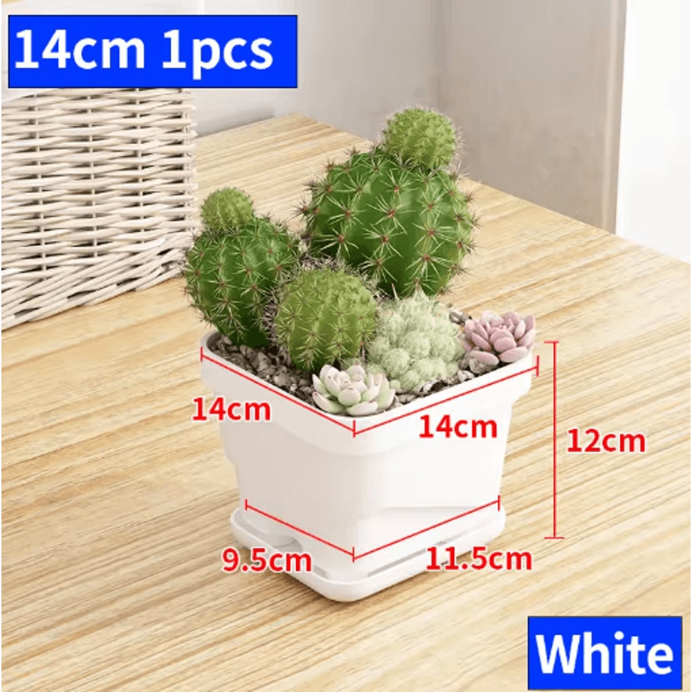 Square Ventilated Plastic Flower Pot Succulent Planter With Thick Drainage Tray 9
