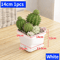 Square Ventilated Plastic Flower Pot Succulent Planter With Thick Drainage Tray 9