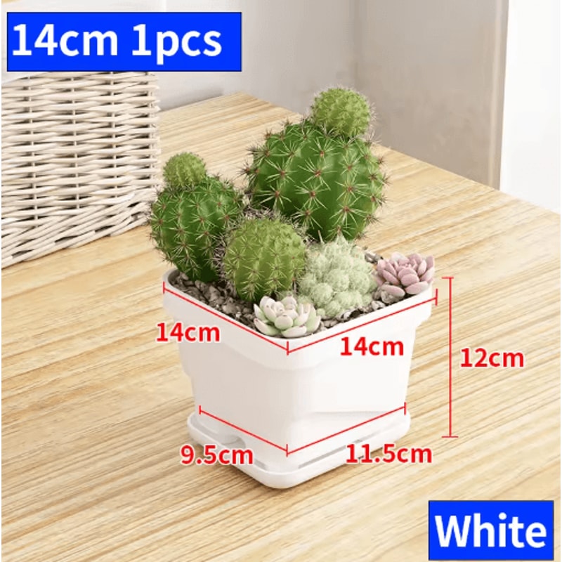 Square Ventilated Plastic Flower Pot Succulent Planter With Thick Drainage Tray 9