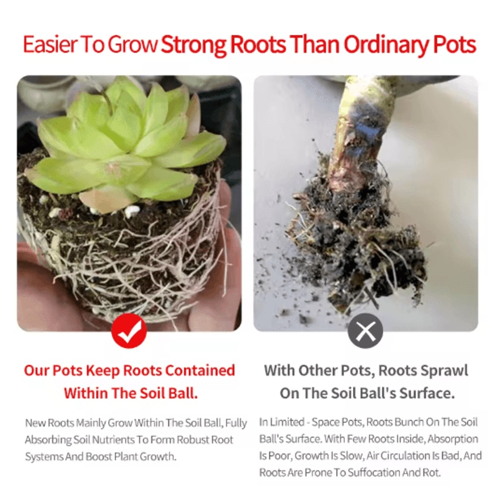 Square Ventilated Plastic Flower Pot Succulent Planter With Thick Drainage Tray 14