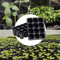 12 Hole Seedling Tray Pots Black Vegetable Germination Grow Boxes For Plants And Flowers 10 20 PCS 3