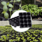 12 Hole Seedling Tray Pots Black Vegetable Germination Grow Boxes For Plants And Flowers 10 20 PCS 3