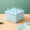 Ice Cream Popsicle Mold 4 8 Grid DIY Ice Lolly Maker With Sticks For Homemade Treats 2