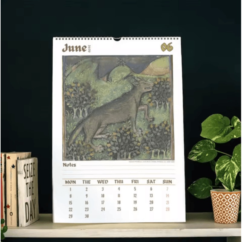 2026 Wall Calendar Medieval Animal Theme With Humorous Ugly Style Illustrations 3