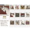 2026 Wall Calendar Medieval Animal Theme With Humorous Ugly Style Illustrations 6