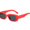 Small Square Sunglasses For Women Trendy Plastic Frame Designer Eyewear For Summer 5
