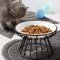 Ceramic Cat Food Bowl Wide Shallow Non Slip Pet Feeding Dish For Kittens And Puppies 8