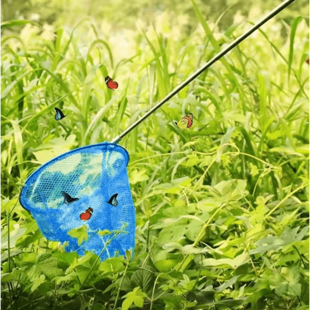 Stainless Steel Telescopic Fishing Dip Net Colorful Butterfly Net For Kids 6