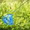 Stainless Steel Telescopic Fishing Dip Net Colorful Butterfly Net For Kids 6
