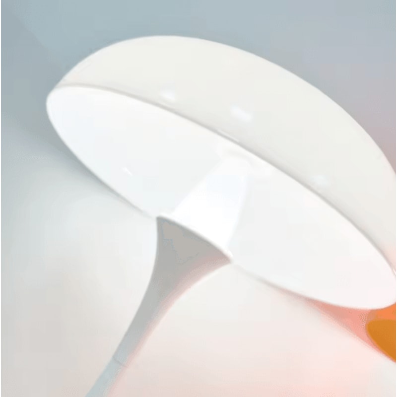 Mushroom Table Lamp Touch Control 3 Color Dimmable Cordless LED Night Light 5