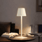 Nordic LED Desk Lamp Rechargeable Touch Dimming Light For Minimalist Home Decor 3