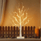 Illuminated Birch Tree 24 LED Tabletop Christmas Tree Centerpiece Light 2