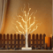Illuminated Birch Tree 24 LED Tabletop Christmas Tree Centerpiece Light 2