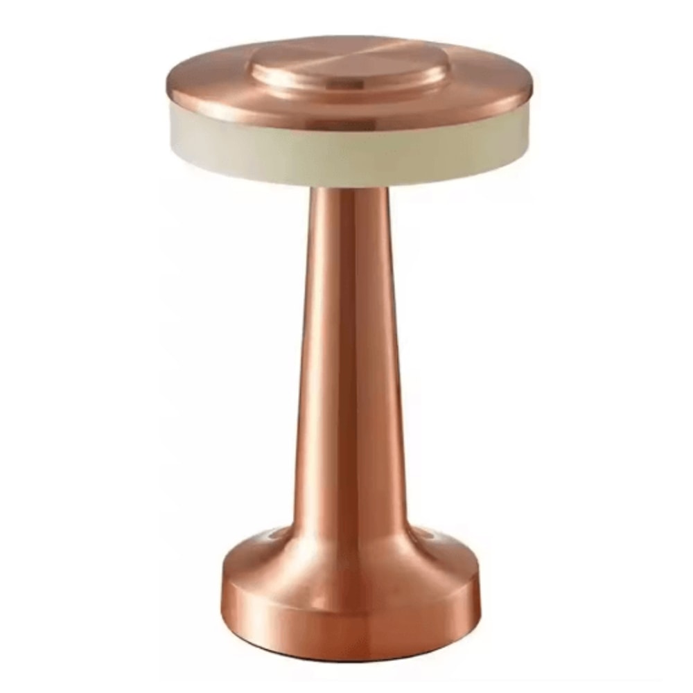 Metal Desk Lamp USB Rechargeable Touch Mood Light For Bedside Bar And Cafe Decor 1