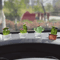 Cute Transparent Cactus Car Dashboard Ornaments 4 Piece Decorative Set 3