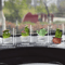 Cute Transparent Cactus Car Dashboard Ornaments 4 Piece Decorative Set 4