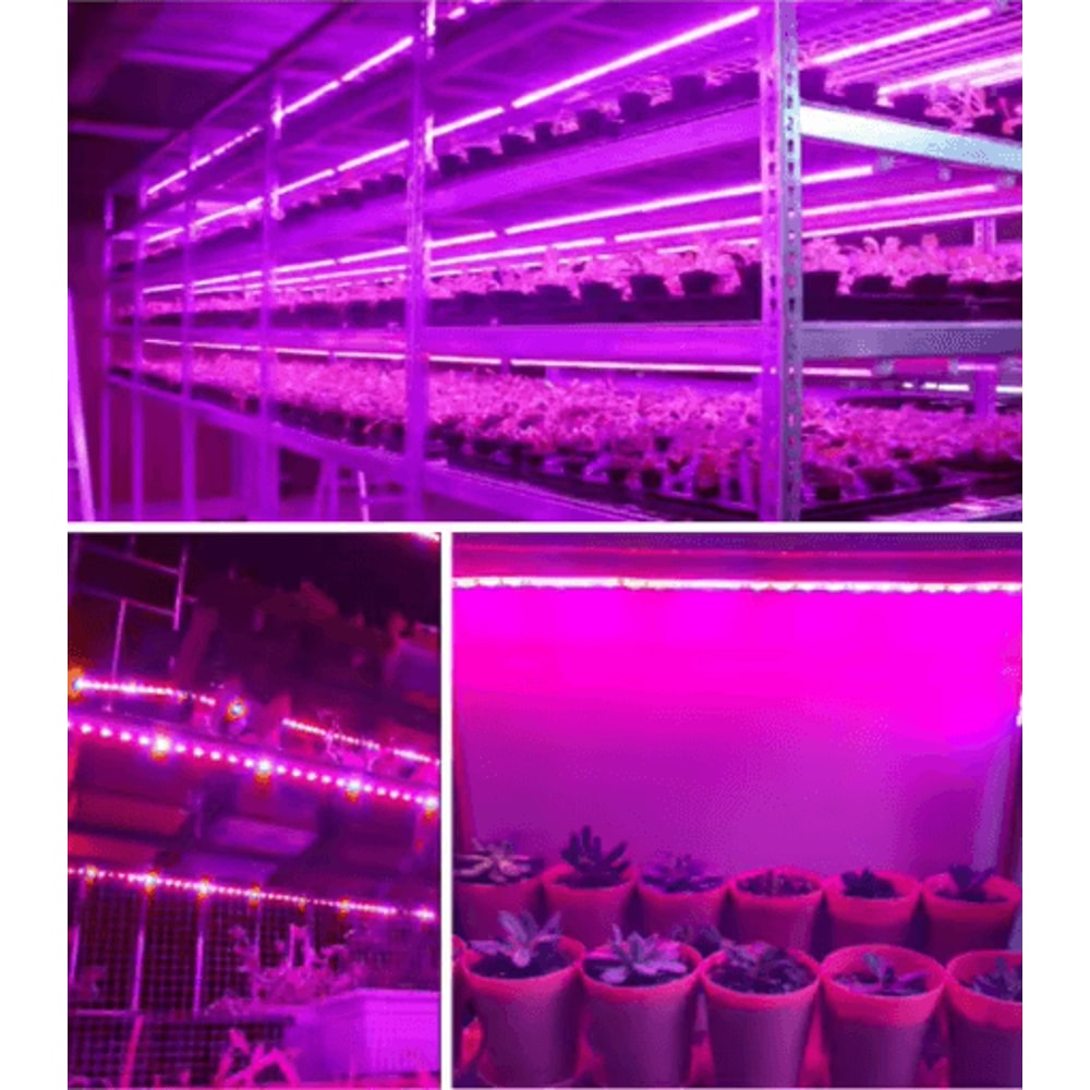 LED Grow Light Strip Full Spectrum USB Phyto Lamp For Indoor Plants Hydroponics 2
