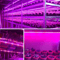 LED Grow Light Strip Full Spectrum USB Phyto Lamp For Indoor Plants Hydroponics 2