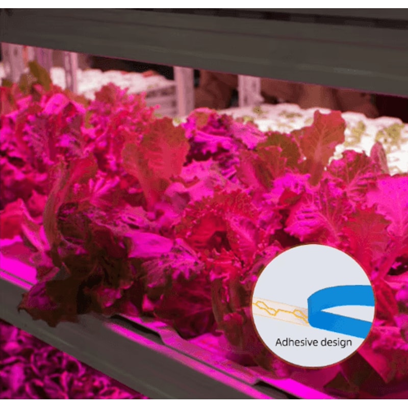 LED Grow Light Strip Full Spectrum USB Phyto Lamp For Indoor Plants Hydroponics 3