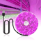 LED Grow Light Strip Full Spectrum USB Phyto Lamp For Indoor Plants Hydroponics 0