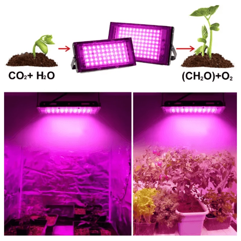 Full Spectrum LED Phyto Lamp For Indoor Plants 50W 100W 300W Grow Light 11