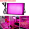 Full Spectrum LED Phyto Lamp For Indoor Plants 50W 100W 300W Grow Light 0