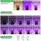 3Color Full Spectrum LED Grow Light With Timer USB Dimmable Phyto Lamp 7