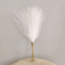 White Artificial Pampas Reed Decor Elegant Reed Grass Stems 10pcs 1