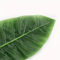 Artificial Banana Leaf Palm Branches 12Pack Realistic Green Foliage For Home Event Decor 2