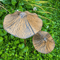 Retro Rusty Metal Mushroom Garden Decor 3Piece Set Vintage Outdoor Mushroom Statues 3