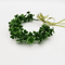 Clover Wreath Headwear St Patricks Day Lucky Grass Hair Accessory For Photography Festive Decor 6