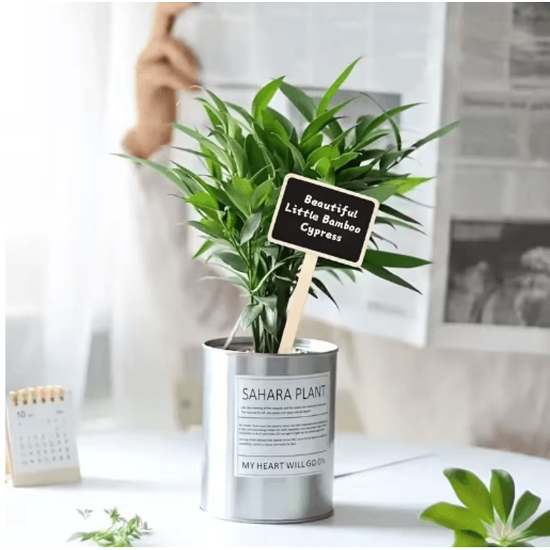 Rustic Wooden Plant Labels 10pcs And 20pcs T Shaped Blackboard Garden Signs For Plant Marking 5