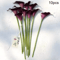 Real Touch Artificial Calla Lilies 10Pack Latex Flowers For DIY Wedding Home Decor 1