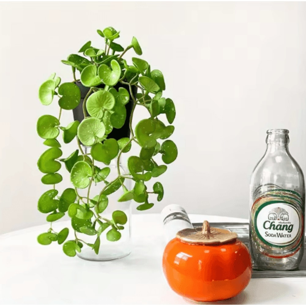 Artificial Copper Coin Grass Plant Bouquet Lifelike Green Wall Hanging For Home Office Decor 7