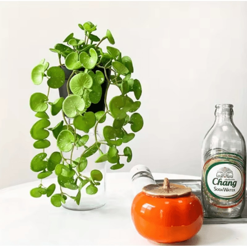 Artificial Copper Coin Grass Plant Bouquet Lifelike Green Wall Hanging For Home Office Decor 7