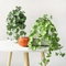 Artificial Copper Coin Grass Plant Bouquet Lifelike Green Wall Hanging For Home Office Decor 8