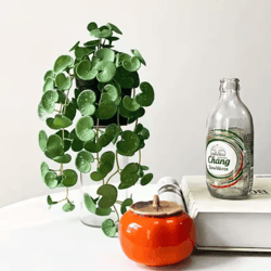 artificial copper coin grass plant bouquet – lifelike green wall hanging for home & office decor