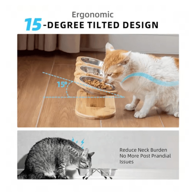 3in1 Raised Cat Feeder With Tilted Stainless Steel Bowls 4
