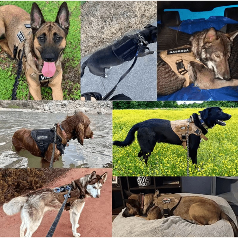 Military Tactical Dog Harness For Large Medium Dogs 5