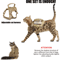 Tactical EscapeProof Cat Harness With Control Handle 10
