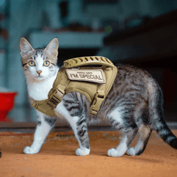 tactical escape-proof cat harness with control handle