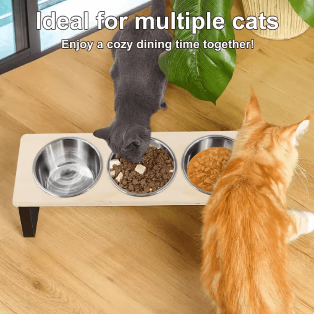 Elevated Cat Bowls Feeder With 15 Tilt 3 Stainless Steel Bowls 0