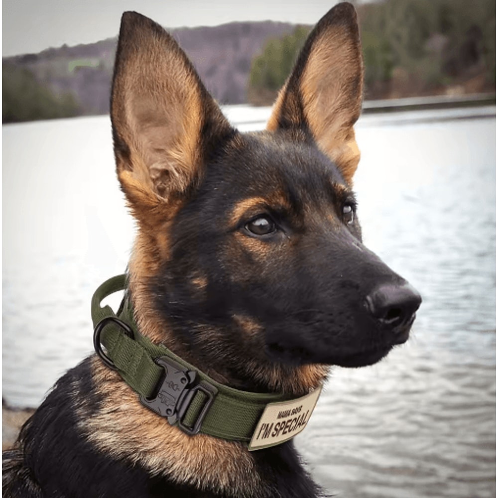 HeavyDuty Tactical Dog Collar With Handle For Training Walking 12