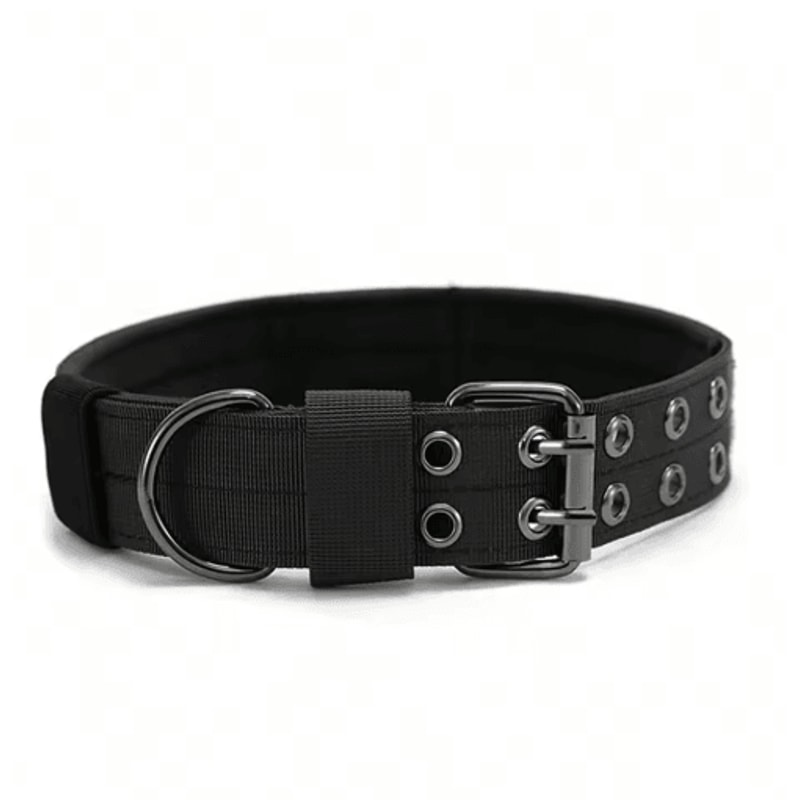 Durable Tactical Dog Collar Military Nylon Collar For Medium Large Dogs 3