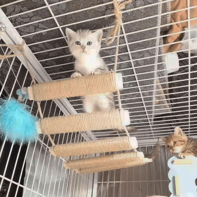 Wooden Cat Climbing Frame Bridge With Sisal Rope Ladder 7