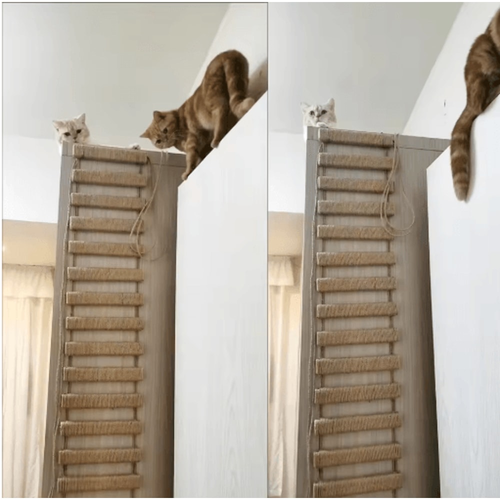 Wooden Cat Climbing Frame Bridge With Sisal Rope Ladder 0