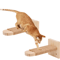 Premium Indoor Wooden Cat Wall Steps Climbing Kitten Ladder With Sisal Rope Scratching Post 0