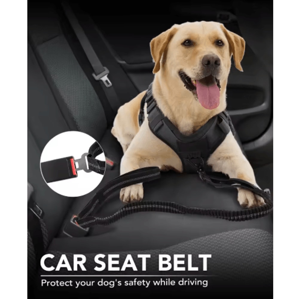 HeavyDuty Tactical Dog Leash With Shock Absorber Dual Padded Handles 11